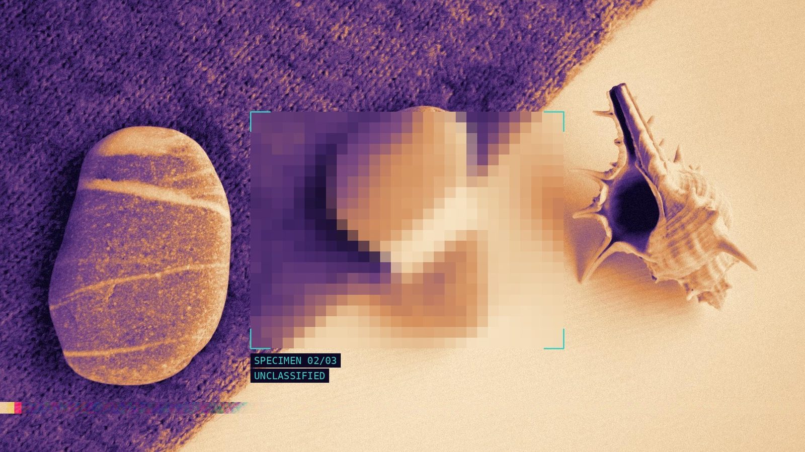 Stones and a shell laid out on cloth like specimens, one marked by a pixelated detection patch
